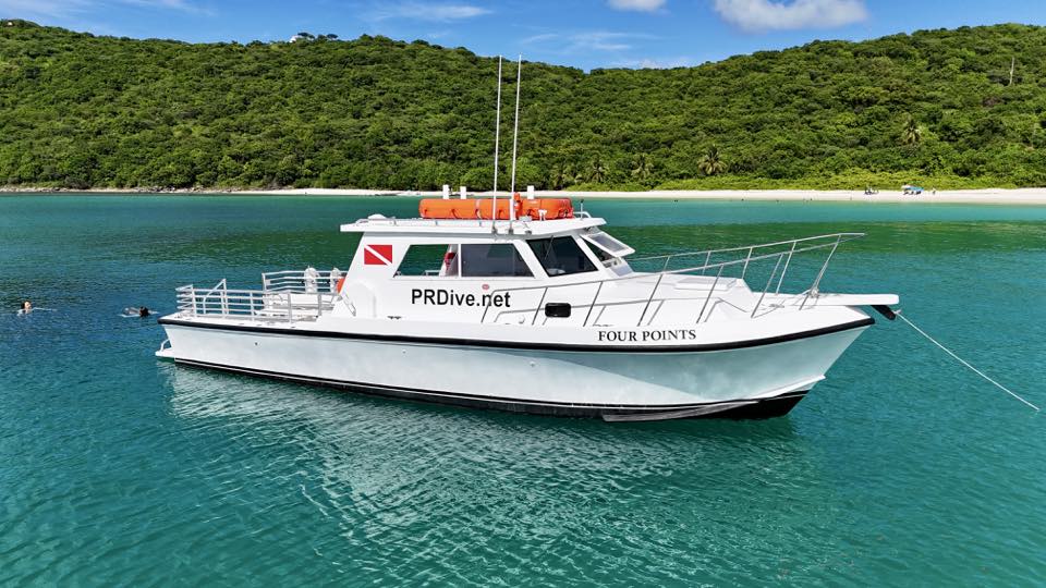 PR Dive’s boat Four Points in clear water off a beach